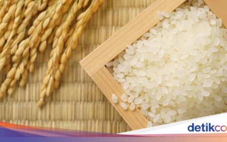 8 Kriteria Beras Premium yang Sempat Disebut Kena PPN 12%