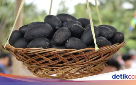 5 Buah Unik Khas Pulau Kalimantan, Sudah Pernah Coba?