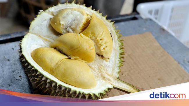 Heboh! Durian Asal China Ternyata Punya Kandungan Nutrisi Berbeda