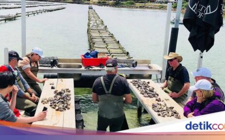 Tur Ini Ajak Pesertanya Makan Tiram Segar Tepat di Tengah Laut