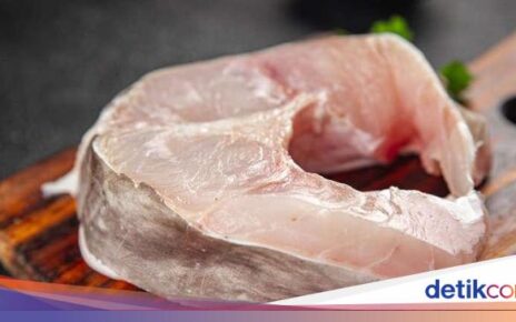 Konsumsi 5 Seafood Ini Bisa Membahayakan Kesehatan dan Lingkungan