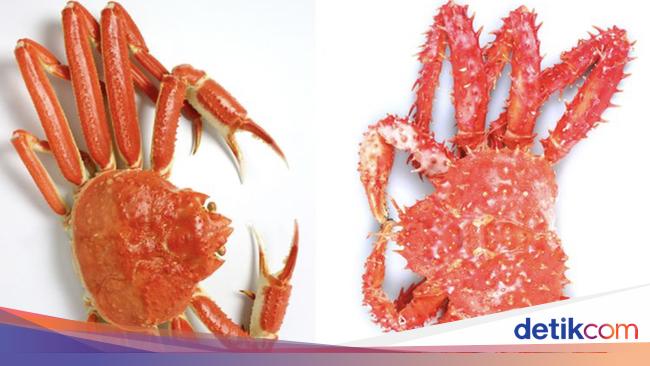 Apa Itu Snow Crab dan King Crab yang Akan Kena PPN 12%?