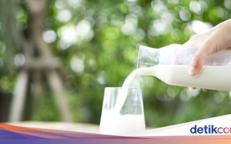 Susu Hokkaido Paling Berkualitas Sedunia, Ini 5 Fakta Menariknya