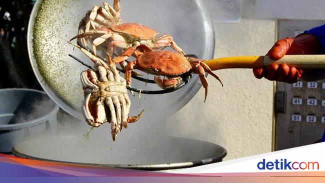 Ternyata Kepiting Bisa Rasakan Sakit ketika Direbus Hidup-hidup